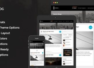 GoBlog Theme de blog WordPress reactif.jpg
