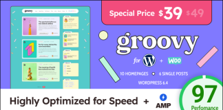 Groovy Blog Moderne et Leger pour WordPress.png