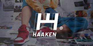 Haaken Theme de magasin de mode.jpg