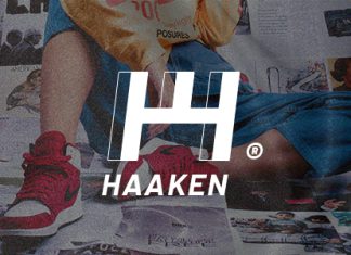 Haaken Theme de magasin de mode.jpg
