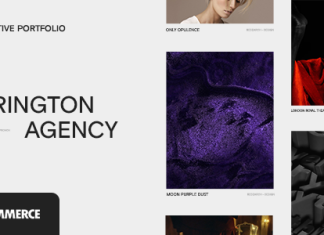 Harington Theme de portefeuille creatif.png