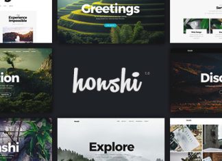 Honshi Portfolio dagence Elementor pour WordPress.jpg