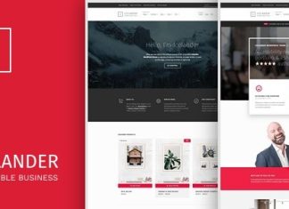 Icelander Theme WordPress Accessible pour Portefeuille dEntreprise et WooCommerce.jpg