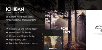 Ichiban Un theme pour les photographes.png
