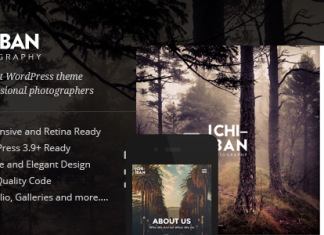 Ichiban Un theme pour les photographes.png