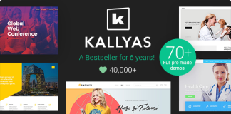 KALLYAS Theme WordPress polyvalent creatif pour le commerce electronique.png