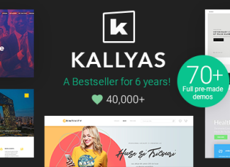 KALLYAS Theme WordPress polyvalent creatif pour le commerce electronique.png
