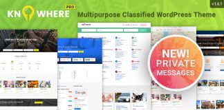 Knowhere Pro Theme WordPress polyvalent pour repertoire classifie.jpg