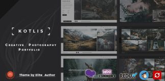 Kotlis Theme WordPress de Portfolio de Photographie.jpg