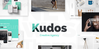 Kudos Theme dagence de marketing.png