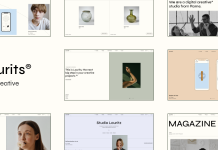 Laurits Theme Portfolio et Agence.png