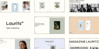Laurits Theme Portfolio et Agence.png