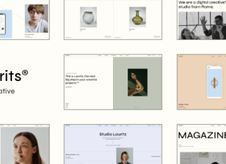 Laurits Theme Portfolio et Agence.png