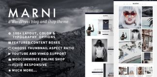 Marni Un theme WordPress pour blog et boutique.jpg