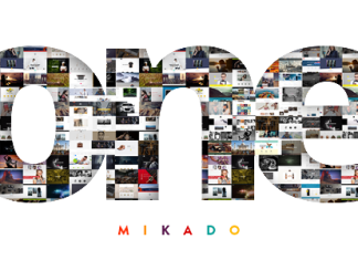 Mikado One Theme WordPress polyvalent pour les entreprises.png