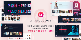 Miraculous Theme WordPress Elementor pour une boutique de musique.png