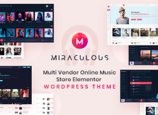 Miraculous Theme WordPress Elementor pour une boutique de musique.png
