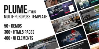 Modele polyvalent PLUME HTML5.jpg