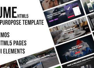Modele polyvalent PLUME HTML5.jpg