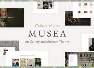 Musee Theme de galerie dart et musee.png