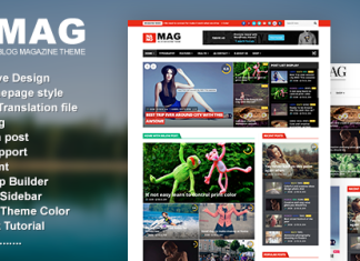 NanoMag Theme de magazine WordPress responsive.png