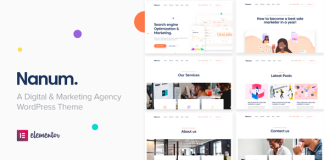 Nanum Theme WordPress pour Agence Digitale Marketing.png
