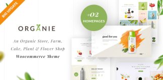 Organie Theme WooCommerce pour magasin bio et alimentation biologique.jpg