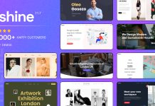 Oshine Theme WordPress creatif polyvalent.jpg