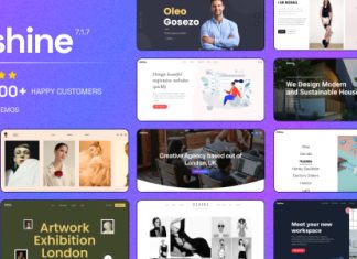 Oshine Theme WordPress creatif polyvalent.jpg