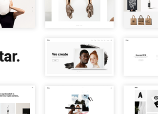 Ottar Theme de portfolio contemporain.png