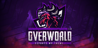 Overworld Theme eSport et Gaming.png