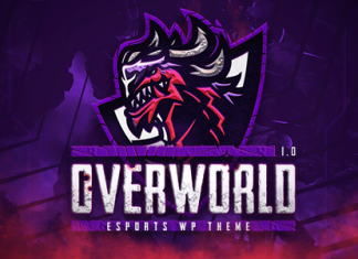Overworld Theme eSport et Gaming.png