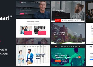 Perle Theme WordPress dentreprise corporative.jpg