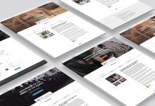 Petition WeChange Theme WordPress dune page.jpg