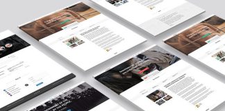 Petition WeChange Theme WordPress dune page.jpg