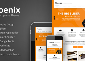 Phoenix Theme Wordpress propre et reactif.png