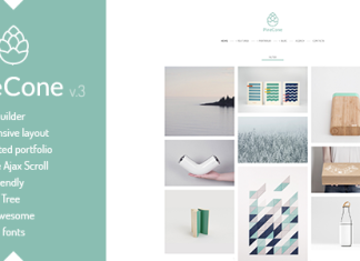 PineCone Portfolio creatif et blog pour les agences.png