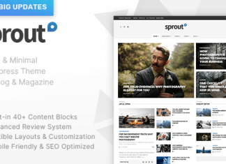 Pousse Theme Clean BlogNewsMagazine Responsive.png