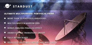 Poussiere detoiles Theme WordPress polyvalent pour portfolio.png