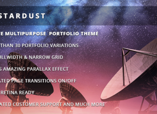 Poussiere detoiles Theme WordPress polyvalent pour portfolio.png