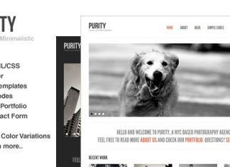 Purete Modele reactif propre minimaliste et audacieux.jpg