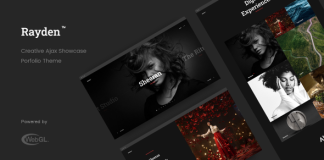 Rayden Theme de portfolio creatif.png