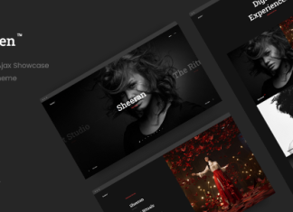 Rayden Theme de portfolio creatif.png
