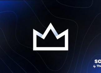 Salient Theme polyvalent creatif et WooCommerce.jpg