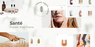 Sante Theme de la boutique bio.png