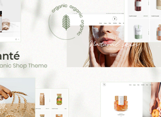 Sante Theme de la boutique bio.png