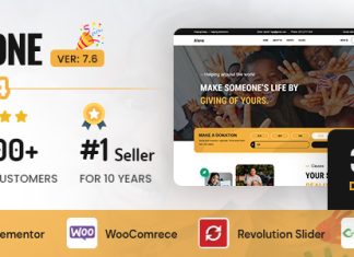 Seul Theme WordPress polyvalent a but non lucratif pour.jpg