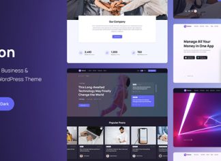 Silicon Theme WordPress polyvalent pour la technologie.jpg