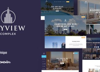 Skyview Complex Theme WordPress dune seule page pour une.jpg