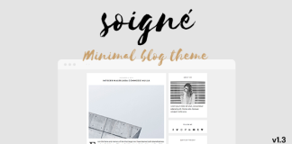 Soigne Un theme WordPress de blog minimal et reactif.png